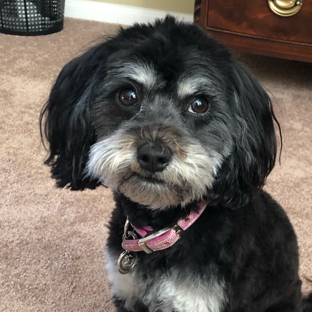 Meet your Posher, Jeri